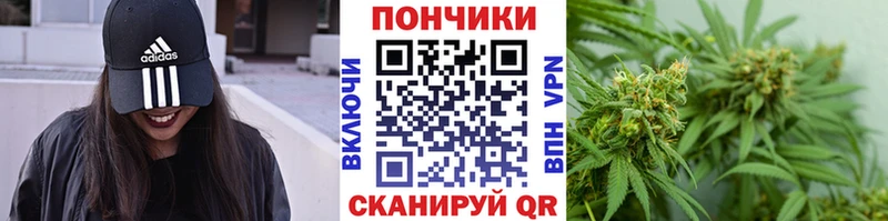 кракен ссылки  купить наркоту  Пущино  сайты даркнета клад  Канабис индика 